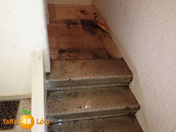 fireinludwens313 (9).JPG